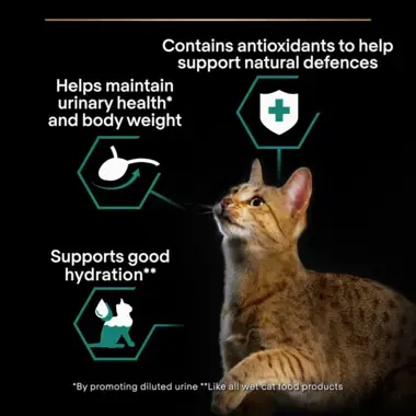 Contains antioxidants to help natural defences