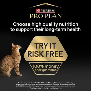 Try it risk free. 100% money back guarantee