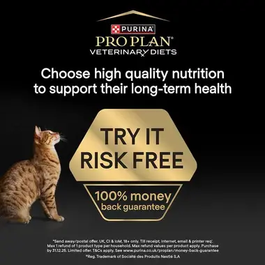 Pro Plan try it risk free, 100% money back guarantee