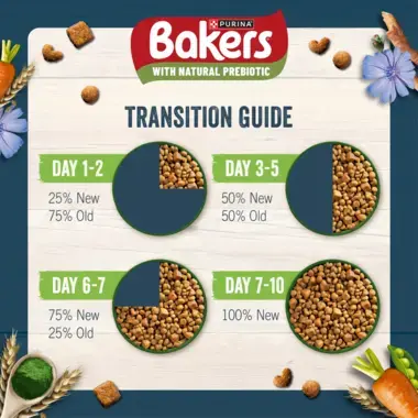 Transition guide
