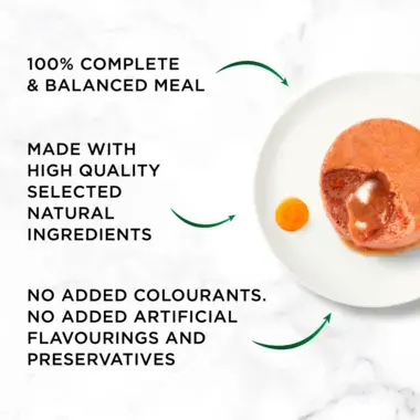 100% complete and balanced meal