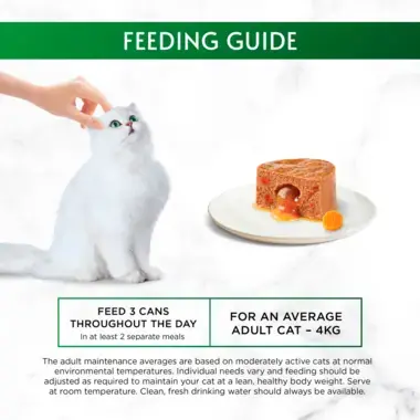 Feeding guide