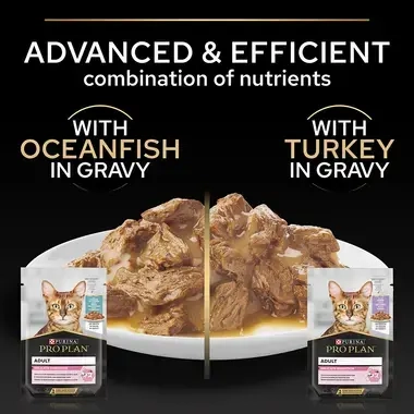 Advanced & efficient combination of nutrients with Oceanfish and Turkey