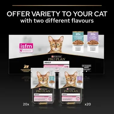 Offer variety to your cat with two different flavours