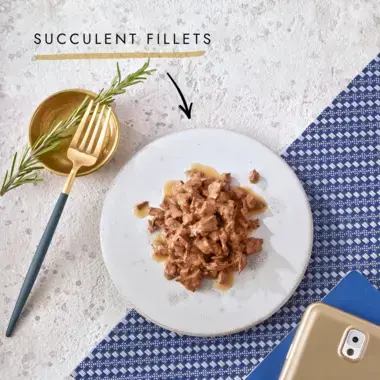 Succulent fillets on a plate