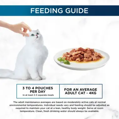 Feeding guide