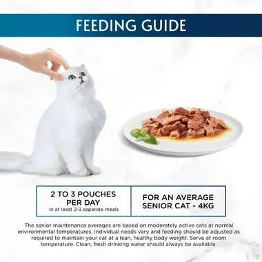 Feeding guide