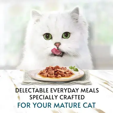 Delectable everyday meals specially crafted for your mature cat