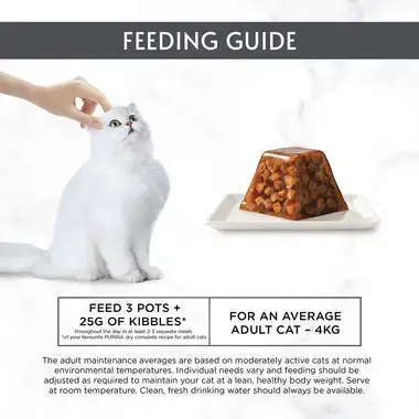 Feeding guide