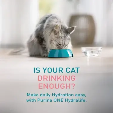 Is your cat drinking enough? Make daily Hydration easy with Purina ONE Hydralife