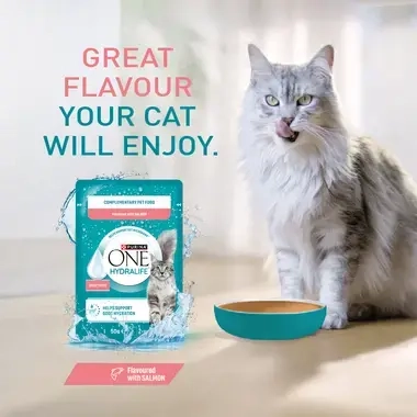 Great flavour your cat will enjoy (salmon)