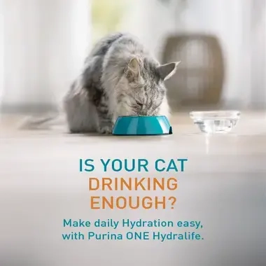 Is your cat drinking enough? Make daily Hydration easy with Purina ONE Hydralife