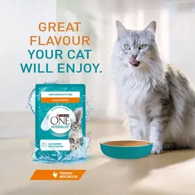 Great flavour your cat will enjoy (chicken)