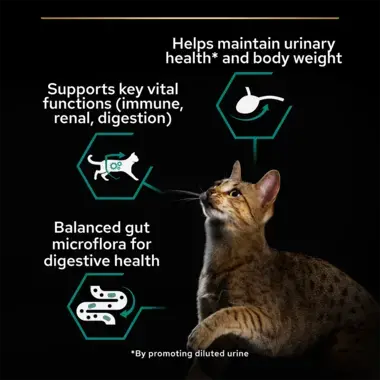 Helps maintain urinary health, supports key vital functions and balanced gut