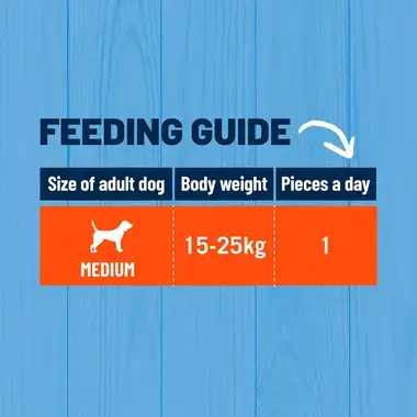 Feeding guide