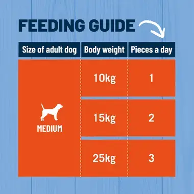 Feeding guide