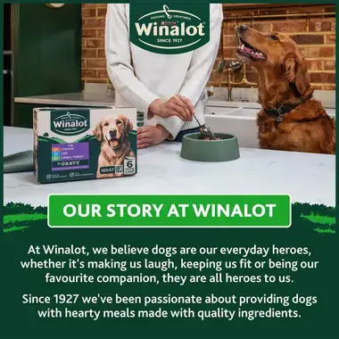 Our story at Winalot