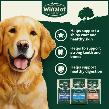 Helps support a shiny coat and healthy skin, strong teeth and bones, healthy digestion