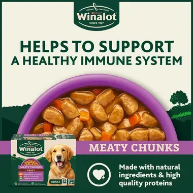 Helps to support a health immune system