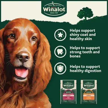 Helps support a shiny coat and healthy skin, strong teeth and bones, healthy digestion