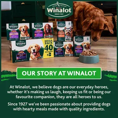 Our story at Winalot