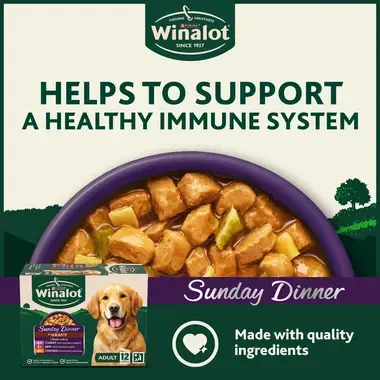 Helps to support a health immune system