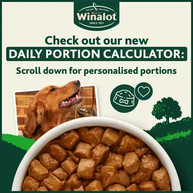 Winalot daily portion calculator