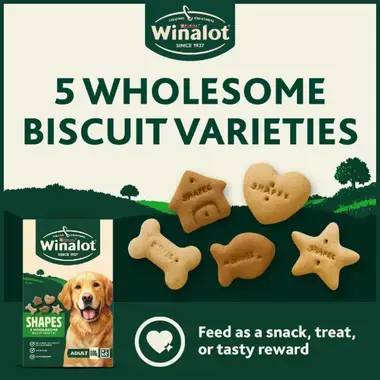 5 Wholesome biscuit varieties