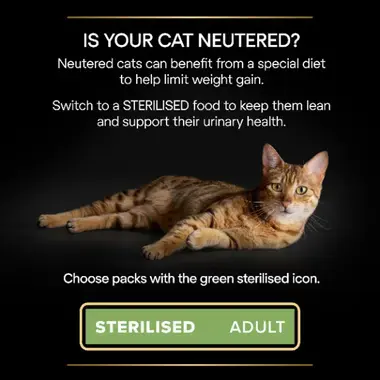 Is your cat neutered? Switch to a STERILISED food to keep them lean and support their urinary health