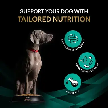 Support your dog with tailored nutrition