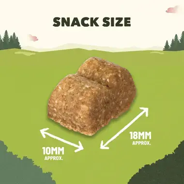 Snack size