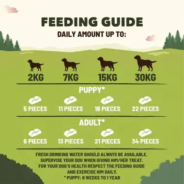 Feeding guide