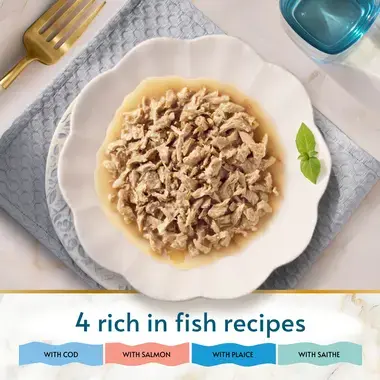 4 rich in fish recipes