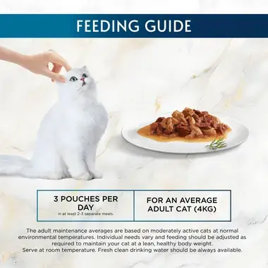 Feeding guide