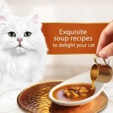 Exquisite soup recipes to delight your cat