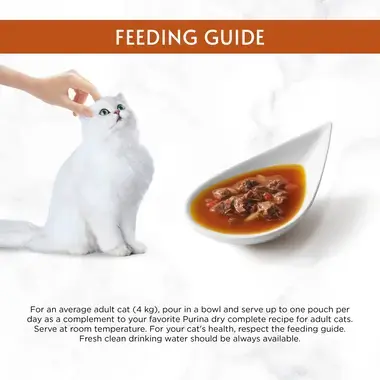 Feeding guide