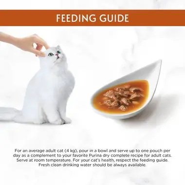 Feeding guide