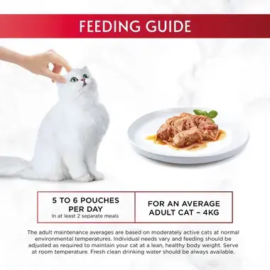 Feeding guide