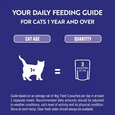 Your daily feeding guide for cats 1 year and over