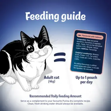 Feeding guide