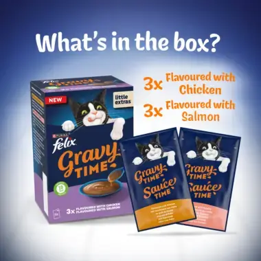 What's in the box?