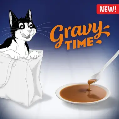 NEW Gravy Time