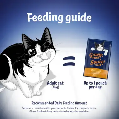 Feeding guide