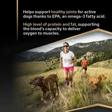 Helps support healthy joints for active dogs