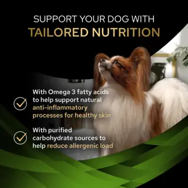 Support your dog with tailored nutrition