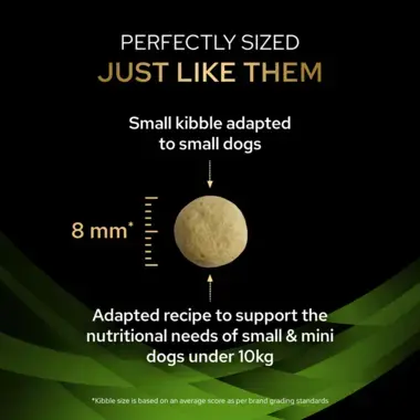 Perfectly sized just like them
