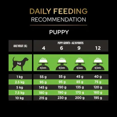 Daily feeding recommendation puppy