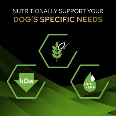 Nutritionally support your dog's specific needs