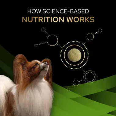 How science-based nutrition works