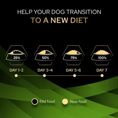 Help your dog transition to a new diet